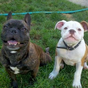 Meet your Posher, Jenn